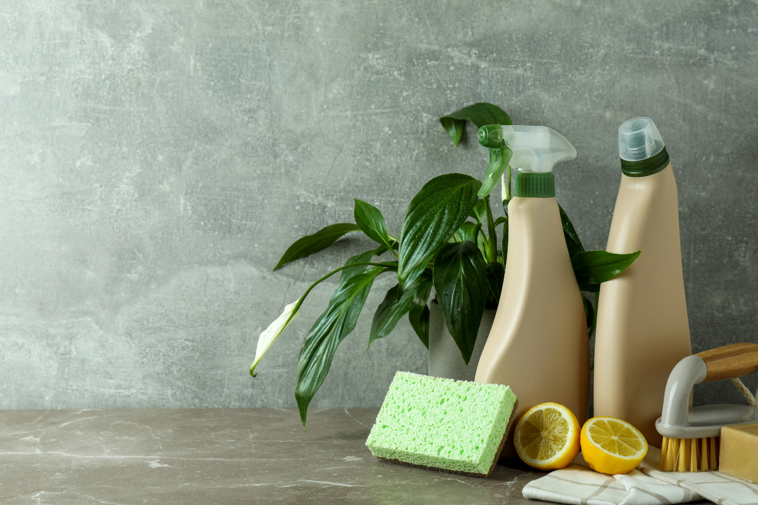 non-toxic cleaning products